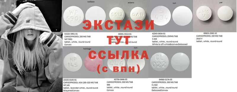 Ecstasy бентли  Короча 